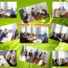 Профильный педагогический класс на базе ГУО СШ № 8